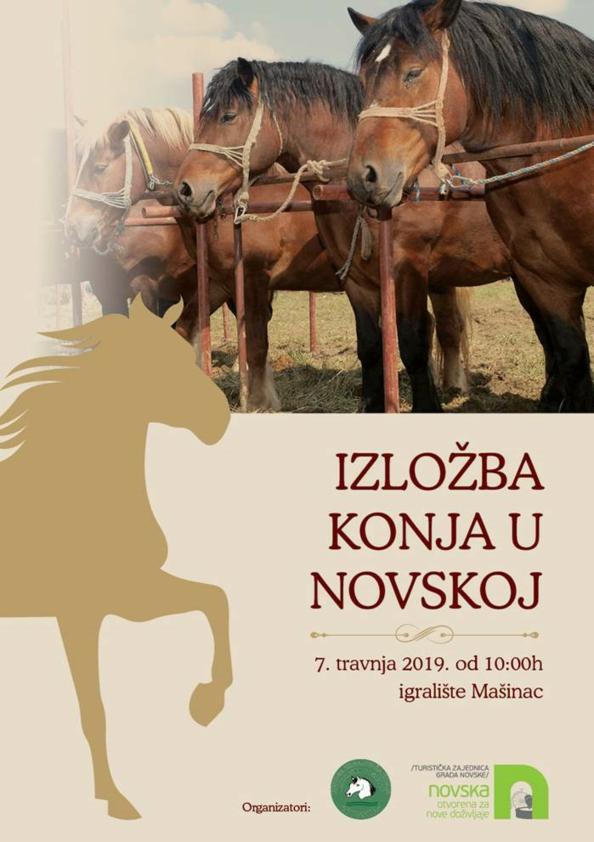 Izložba konja u Novskoj - 7.travnja 2019., igralište Mašinac