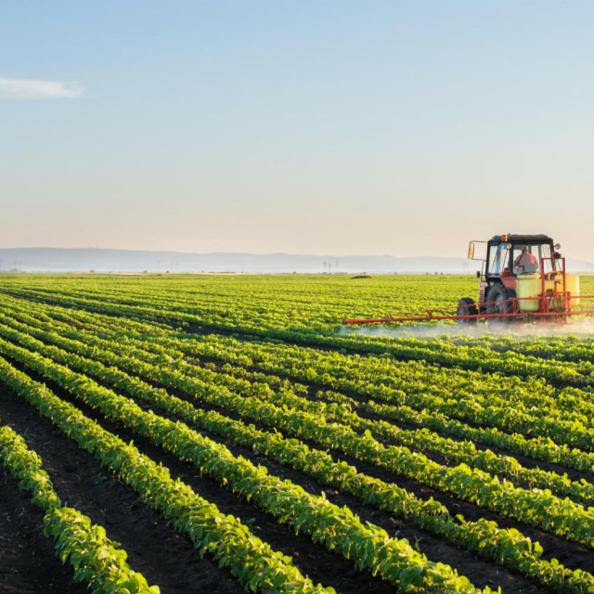 Objavljeno eSavjetovanje o Prijedlogu zakona o izmjenama i dopunama Zakona o poljoprivrednom zemljištu