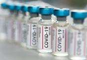 Cijepljenje protiv COVID-a - 21.01.2022.
