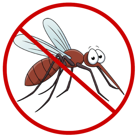 Obavijest o dezinsekciji komaraca na području Grada Novske - 15.lipnja 2023.