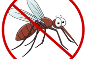 Obavijest o dezinsekciji komaraca na području Grada Novske - 28.svibnja 2023.