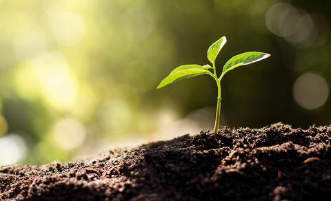 Gradi se kompostana u Kričkama